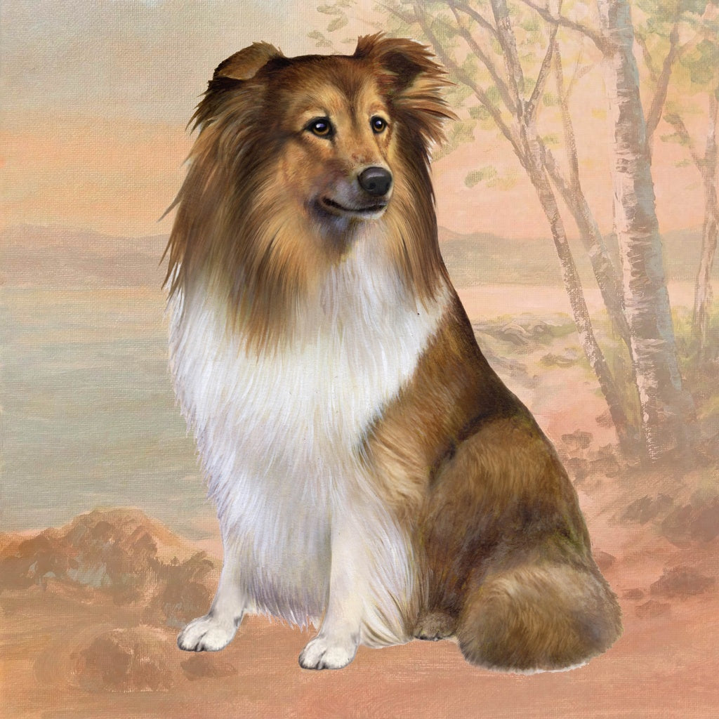 Sheltie | Coaster