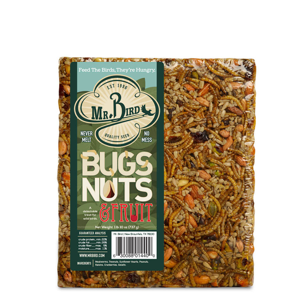 Bugs, Nuts, & Fruit Cake