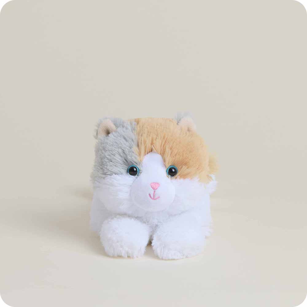 Calico Cat Jr Warrmies