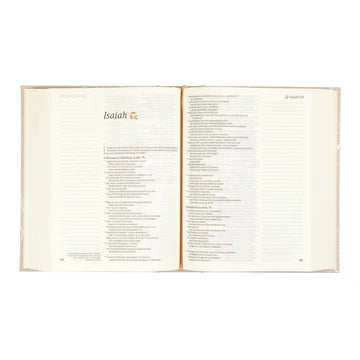 NLT Notetaking Bible | Cordova