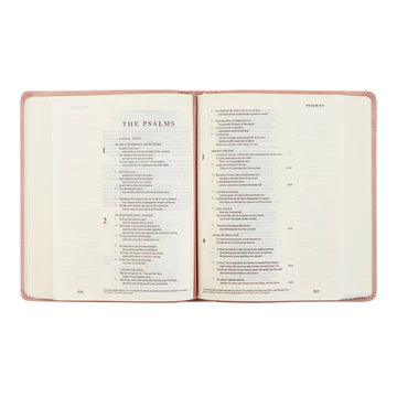ESV Journaling Bible | Shiloh