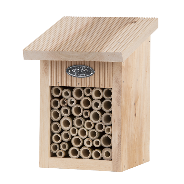 Bee House