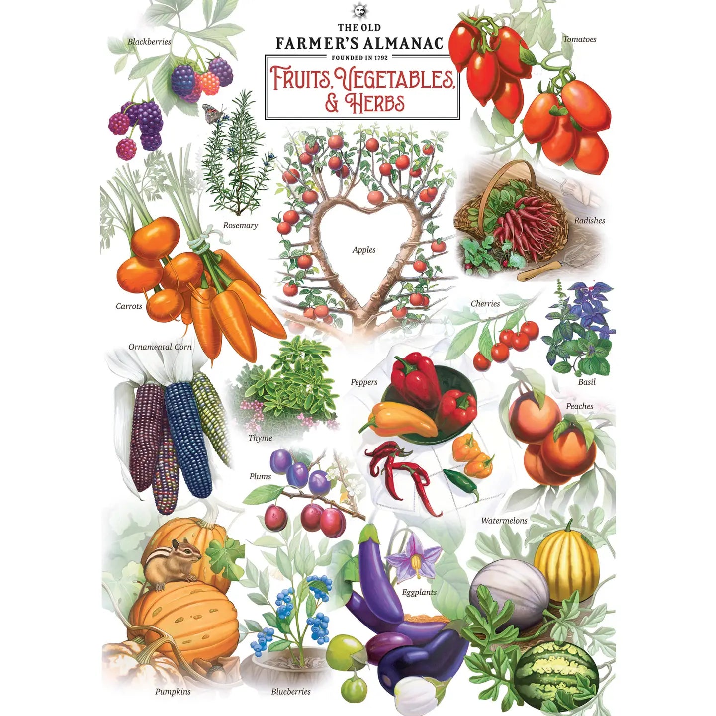Fruits, Veggies, & Herbs Puzzle