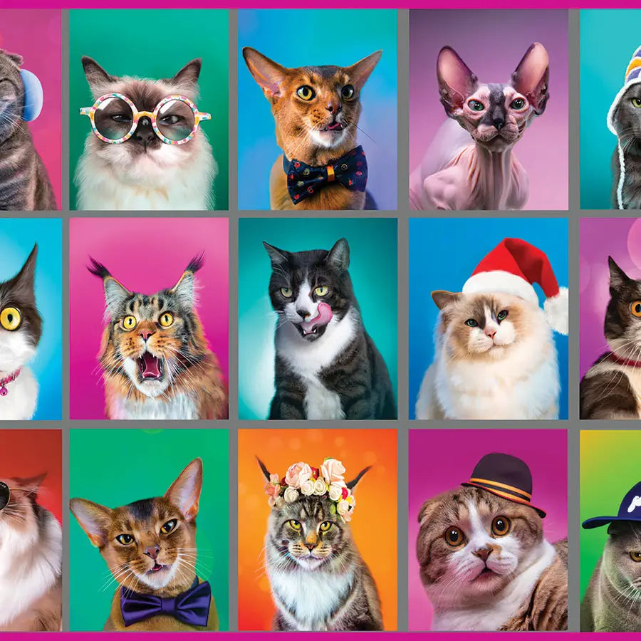 Cat Portraits Puzzle