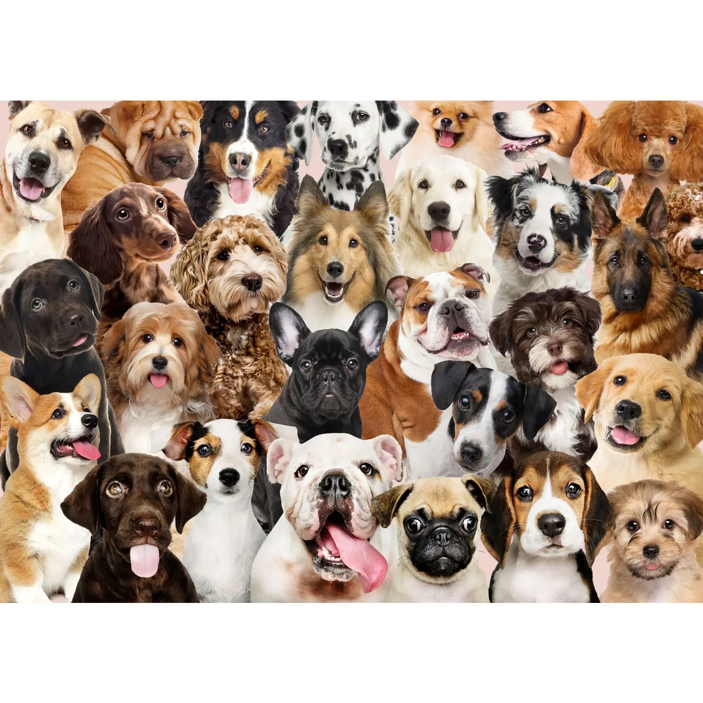 All the Dogs Puzzle