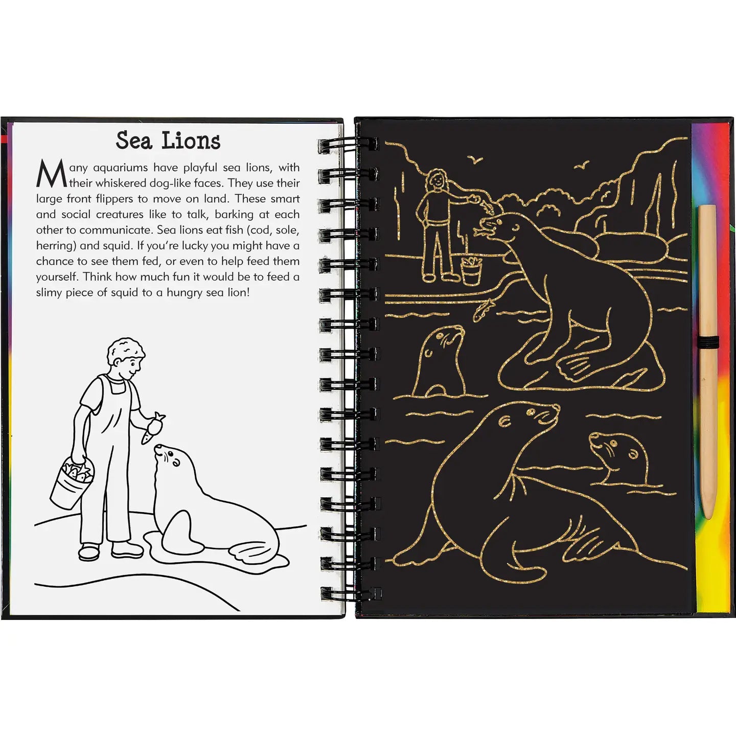 At the Aquarium Scratch & Sketch