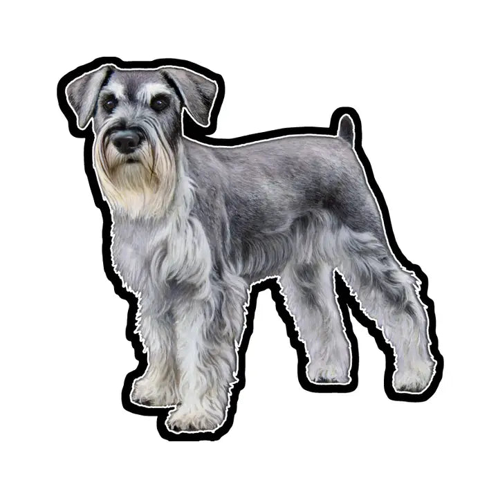 Schnauzer Standing | Sticker