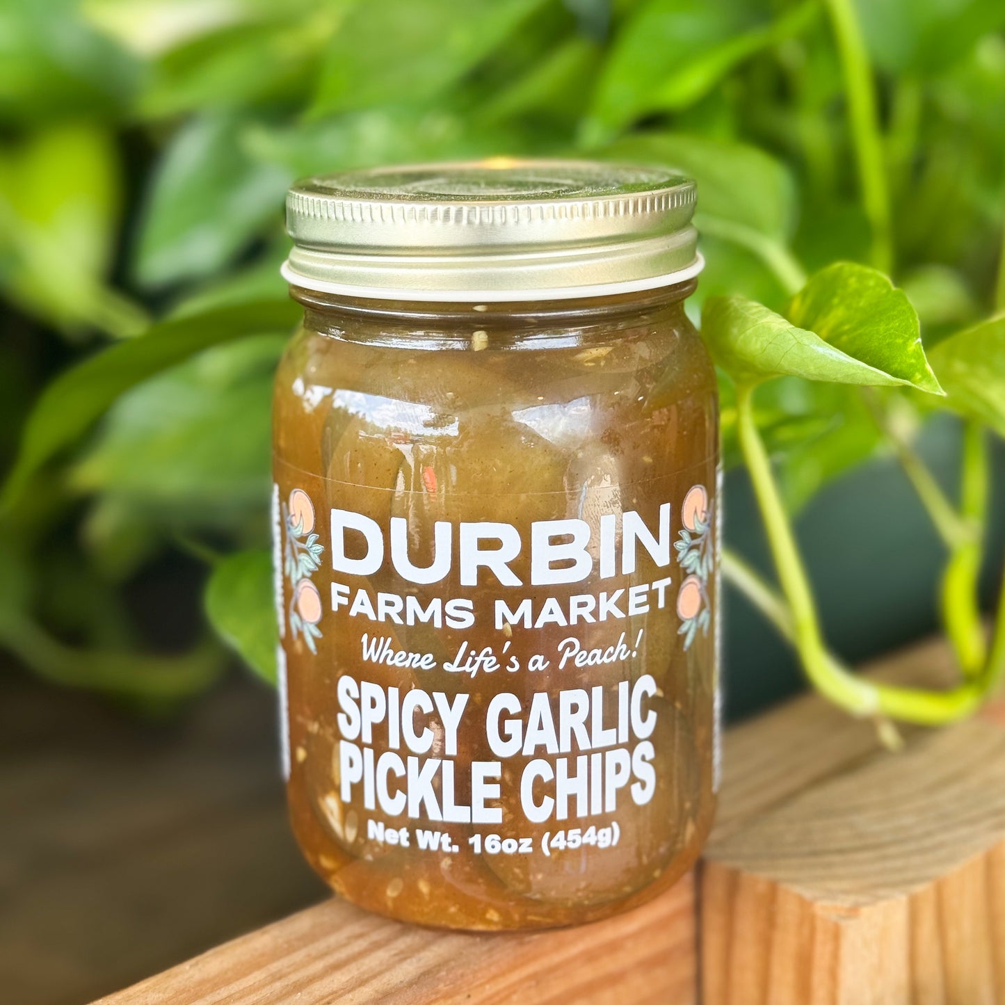 Spicy Garlic Pickle Chips