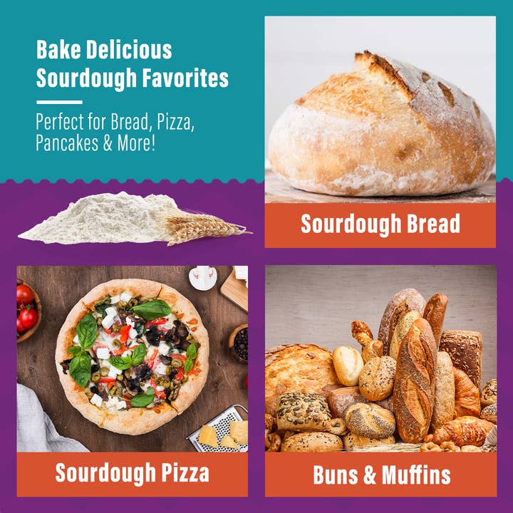 Organic, Non-GMO Sourdough Starter | Freeze Dried |