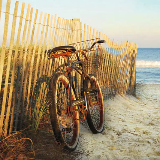 Beach Cruisin Puzzle