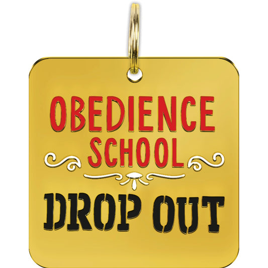 School Drop Out Collar Charm