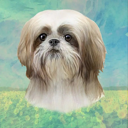 Shih Tzu Face | Coaster