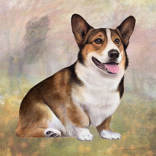 Welsh Corgi Sitting | Coaster