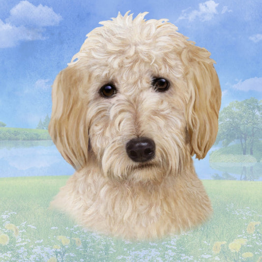 Goldendoodle Face | Coaster