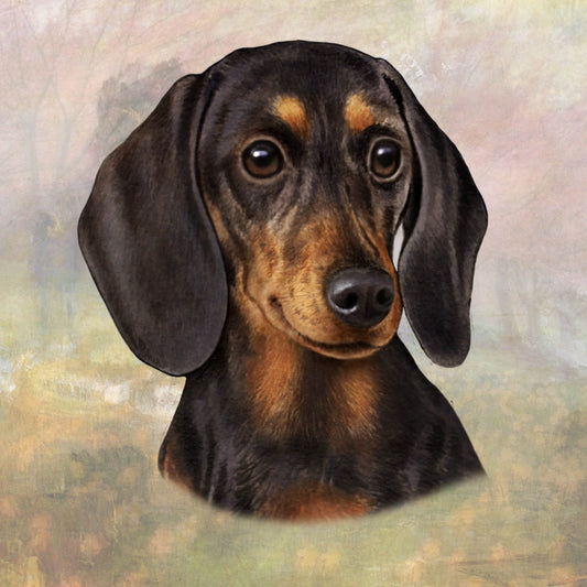 Black Dachshund Face | Coaster