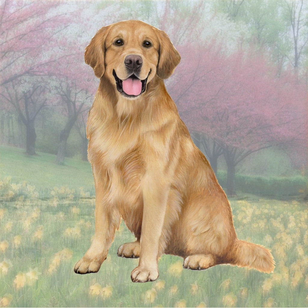 Golden Retriever Sitting | Coaster