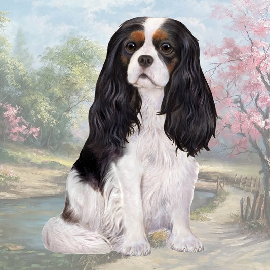 Tri Color Cavalier Sitting | Coaster