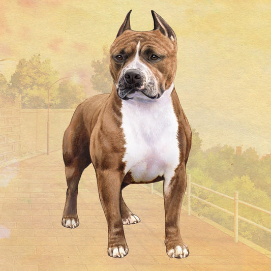 Brindle Pitbull | Coaster