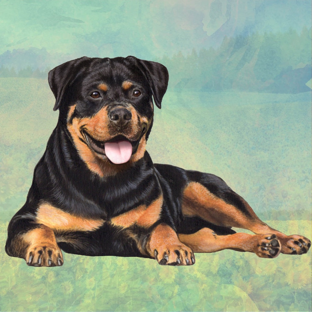 Rottweiler | Coaster