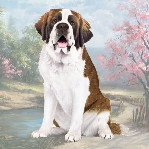 St Bernard | Coaster