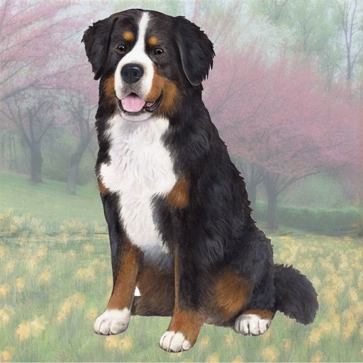 Bernese Mountain Dog | Coaster