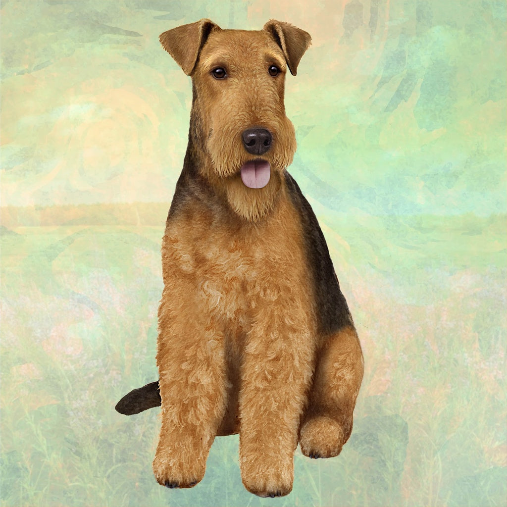 Airedale | Coaster