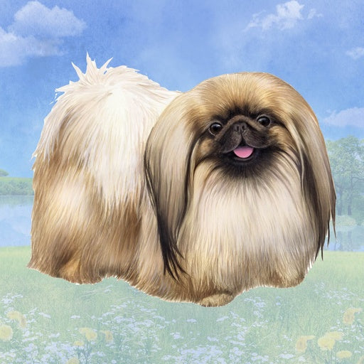 Pekingese | Coaster