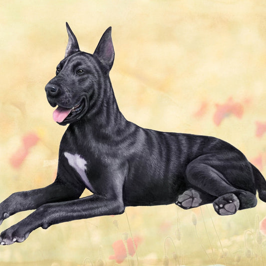 Black Great Dane | Coaster