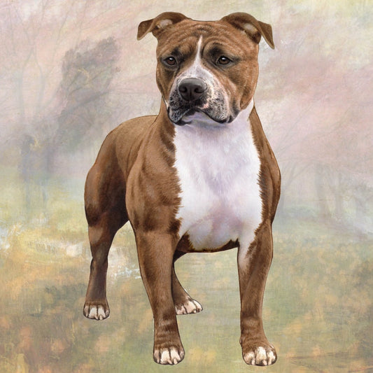 Brindle Pitbull Uncropped | Coaster