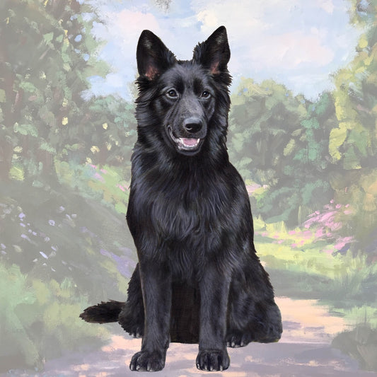 Black German Shepherd | Coaster