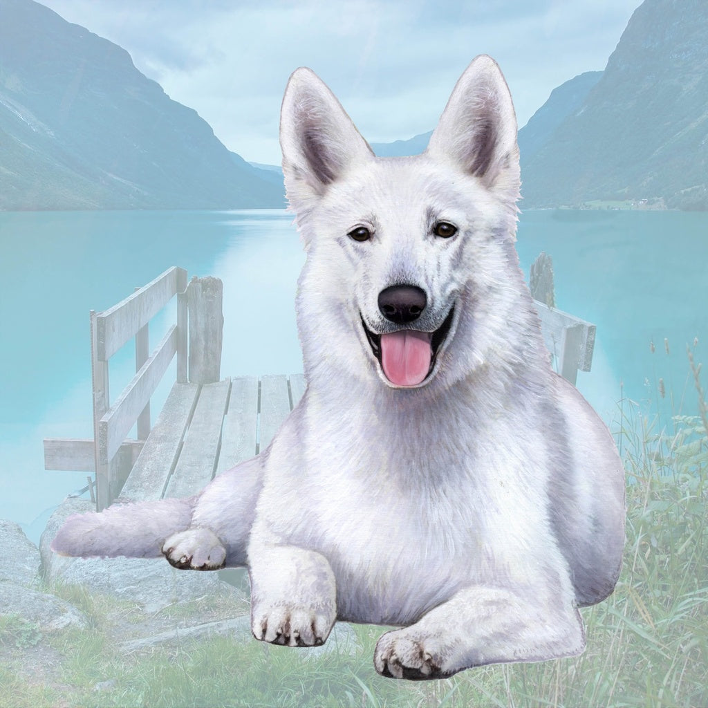 White German Shepherd | Coaster