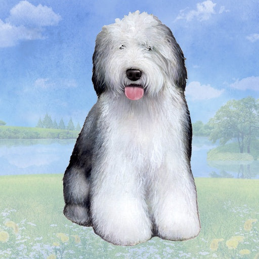 Old English Sheepdog | Coaster