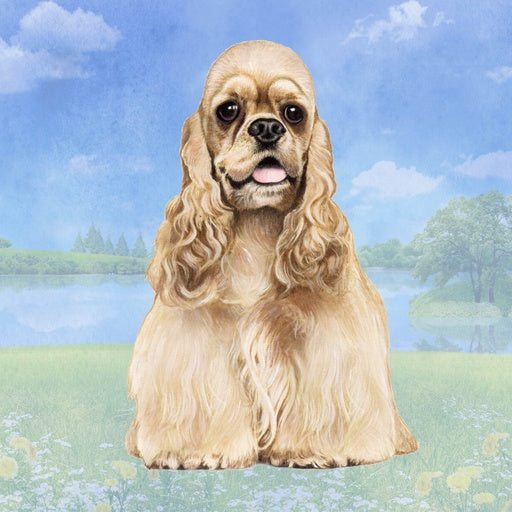 Cocker Spaniel | Coaster