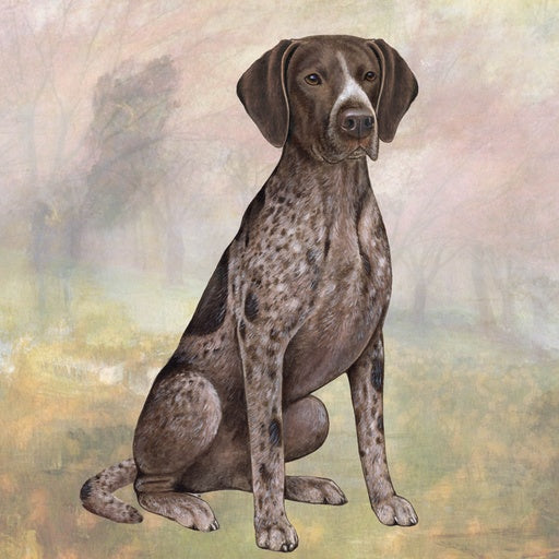 German Shorthaired Pointer | Coaster