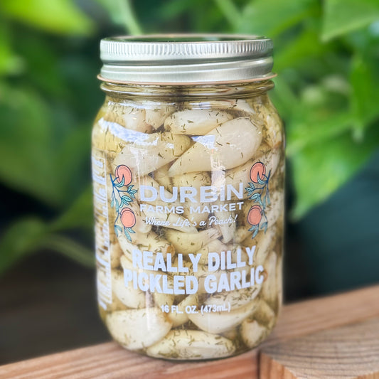Really Dilly Pickled Garlic