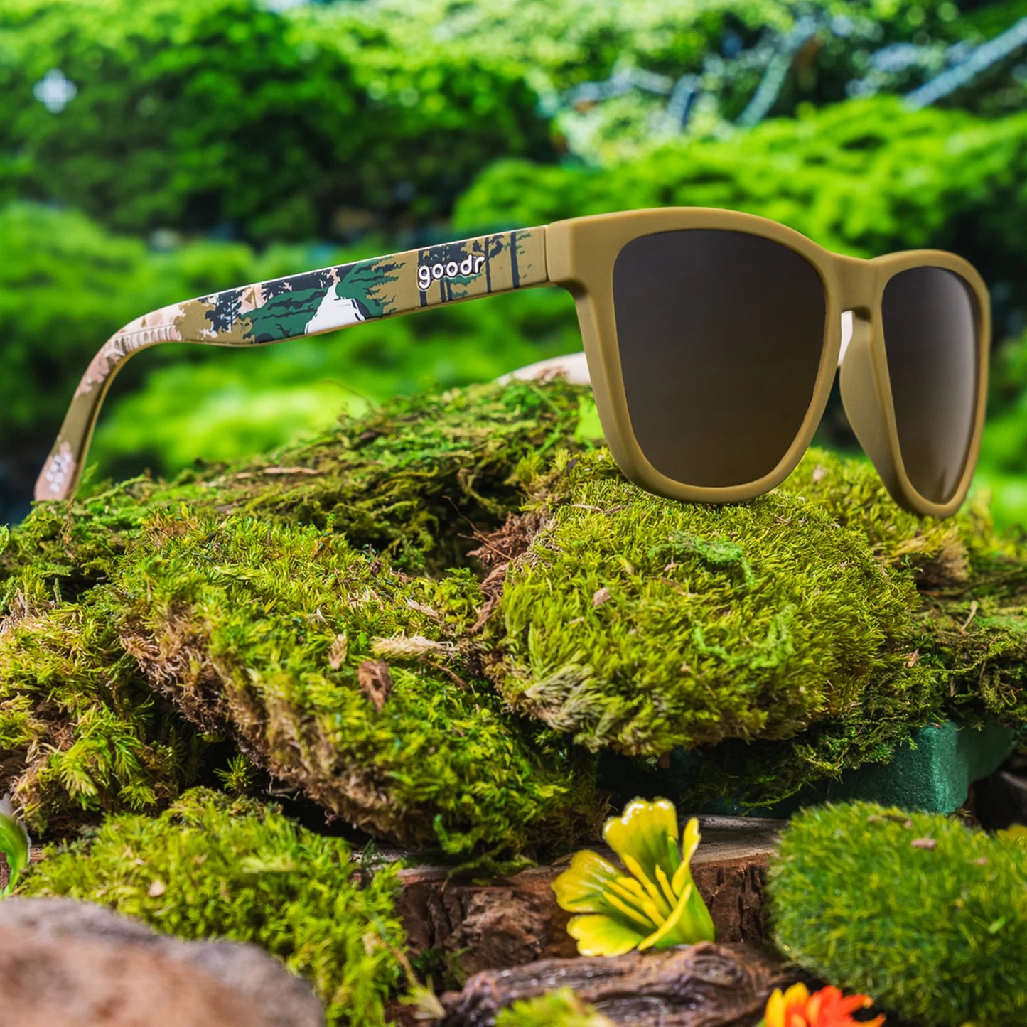 Cuyahoga Valley Sunglasses