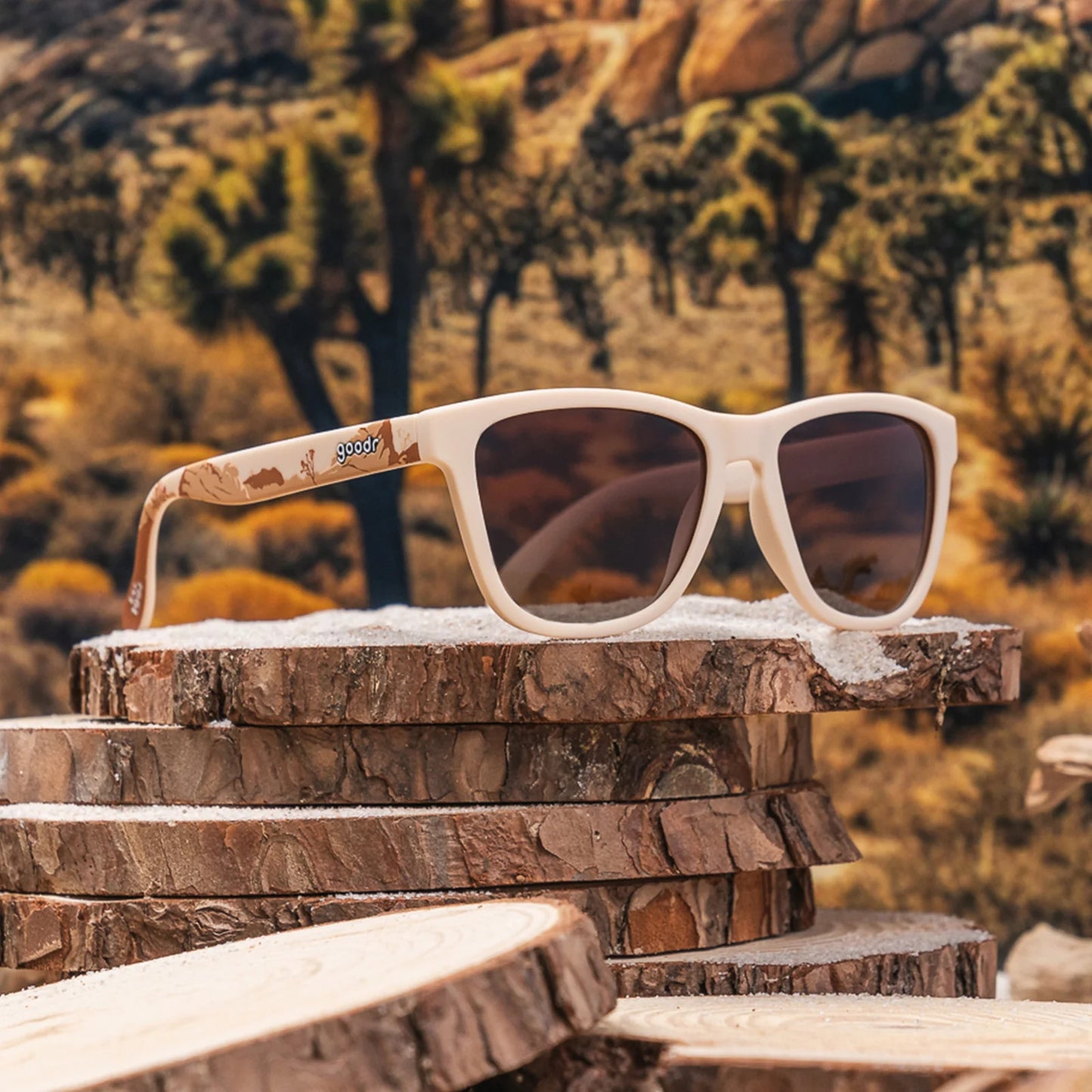 Joshua Tree Sunglasses
