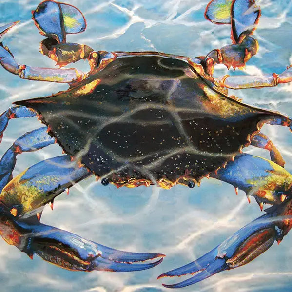 Blue Crab Bay Puzzle