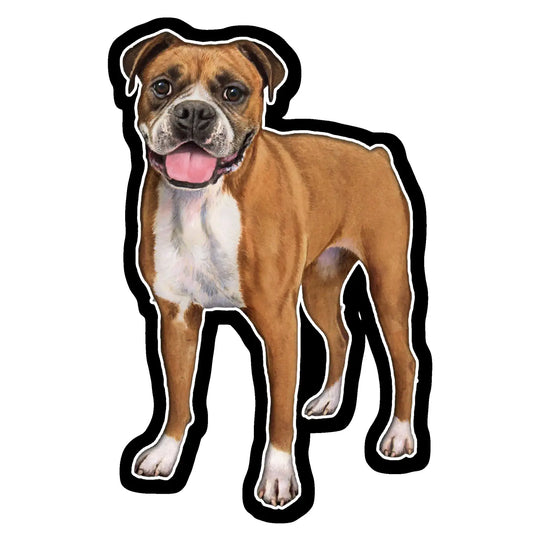 Boxer | Sticker