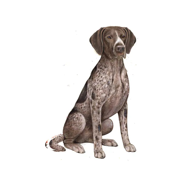 German Shorthaired Pointer | Sticker