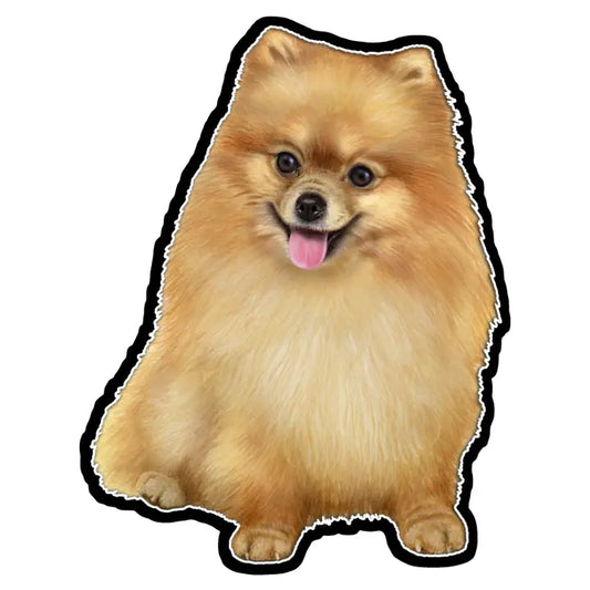 Pomeranian | Sticker