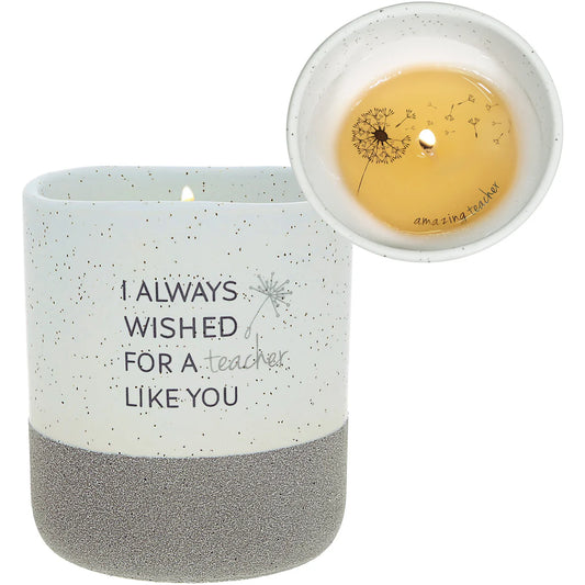 Teacher Like You Wax Reveal Candle