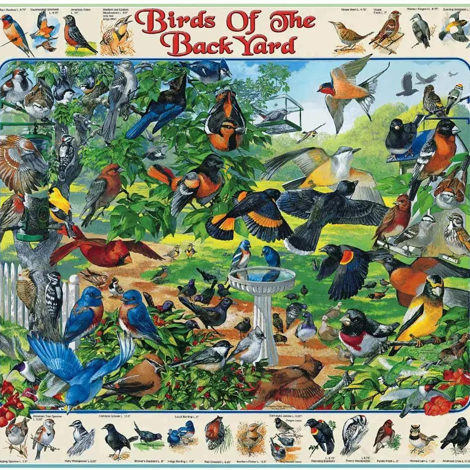 Birds of the Back Yard Puzzle