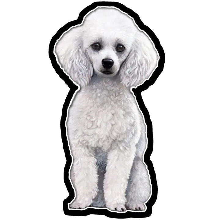 White Poodle | Sticker