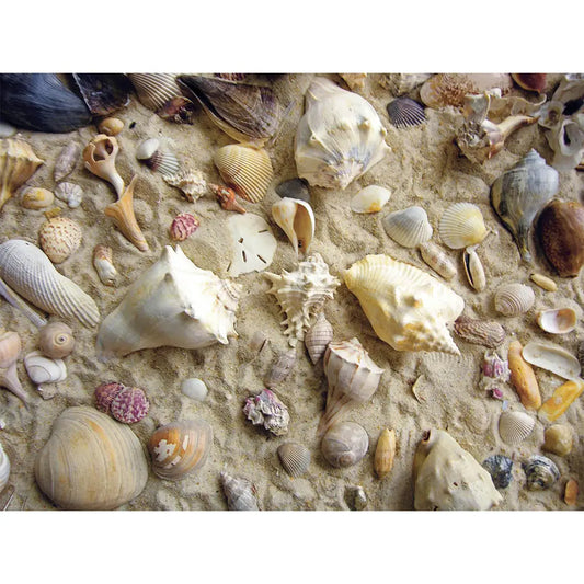 She Sells Sea Shells Puzzle