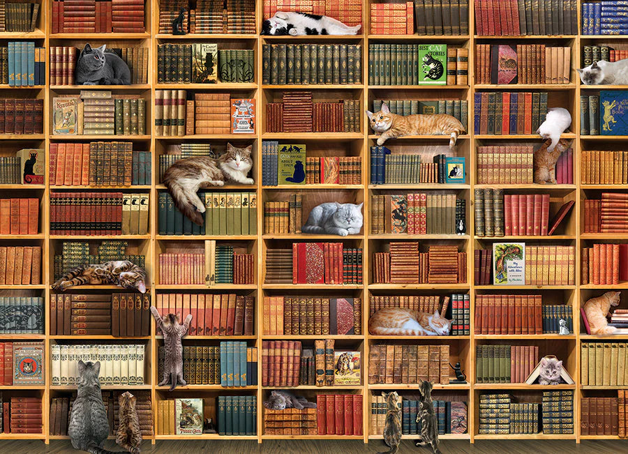 The Cat Library Puzzle