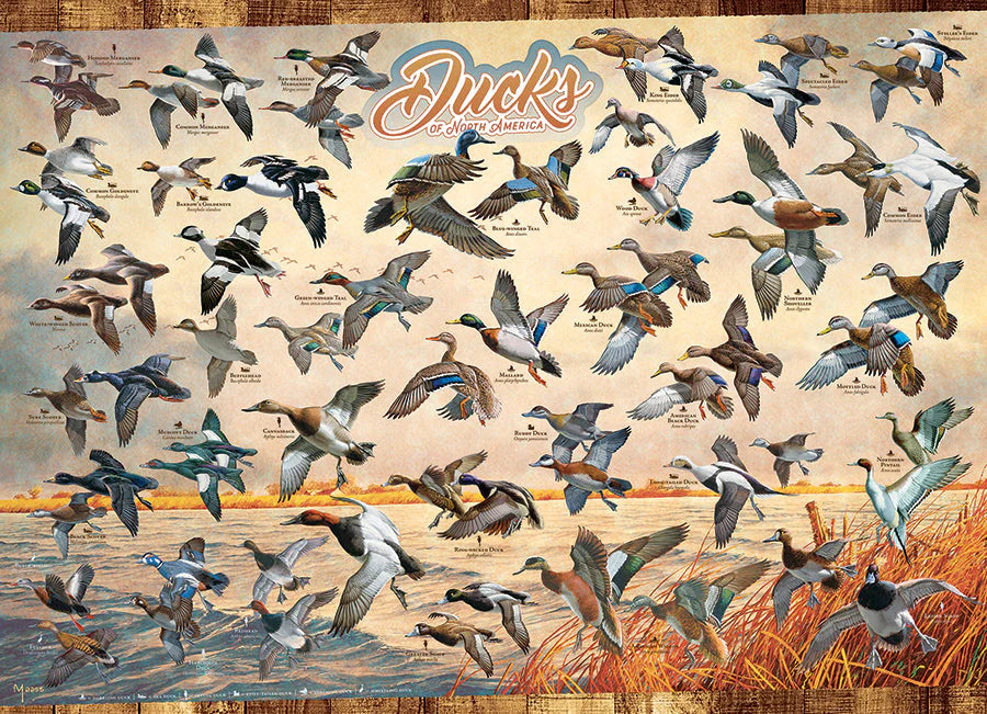 Ducks of North America Puzzle