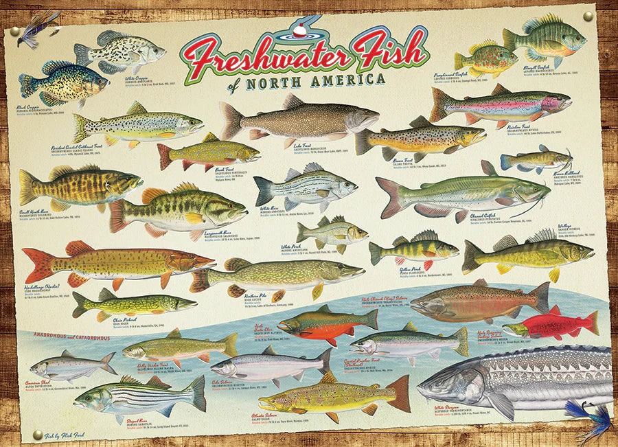 Freshwater Fish of North America Puzzle