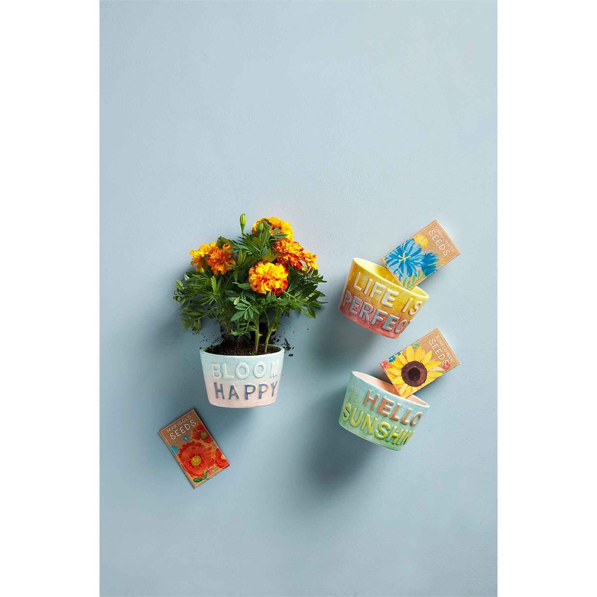 Colorful Pot & Seeds Set