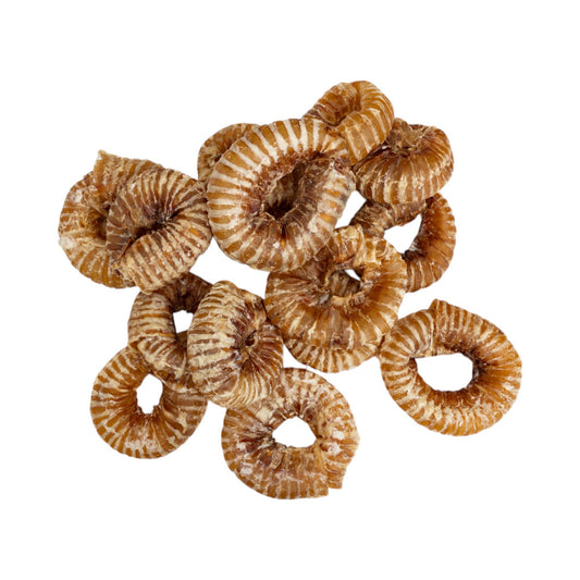 2"-4" Beef Trachea Ring All Natural Dog Treat